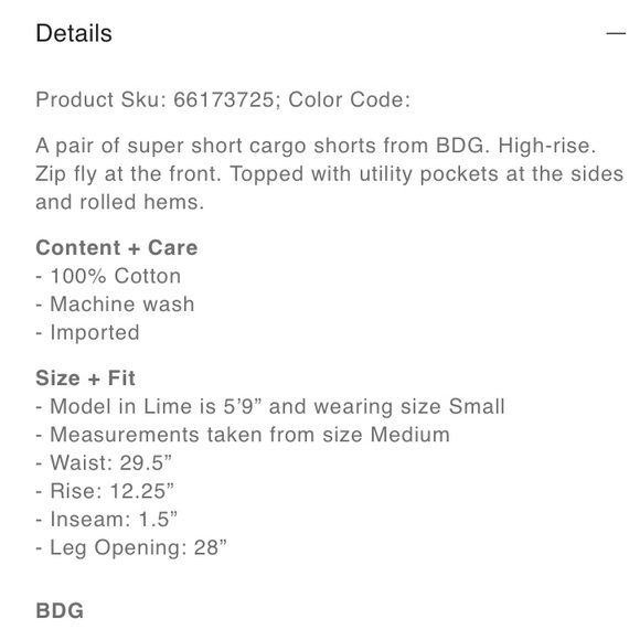 NWT Urban Outfitters BDG Lisa Cargo Shorts Gray Small - Picture 9 of 9